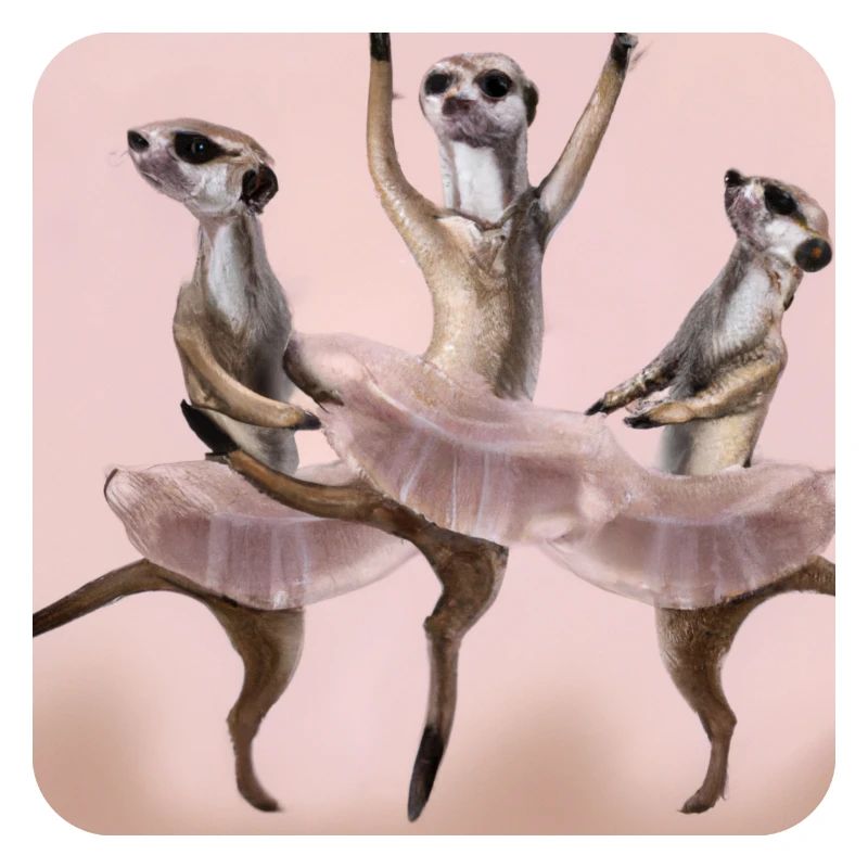 Ballett Erdmännchen