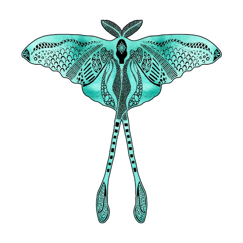 Papillon de lune chinois - Luna Moon Moth