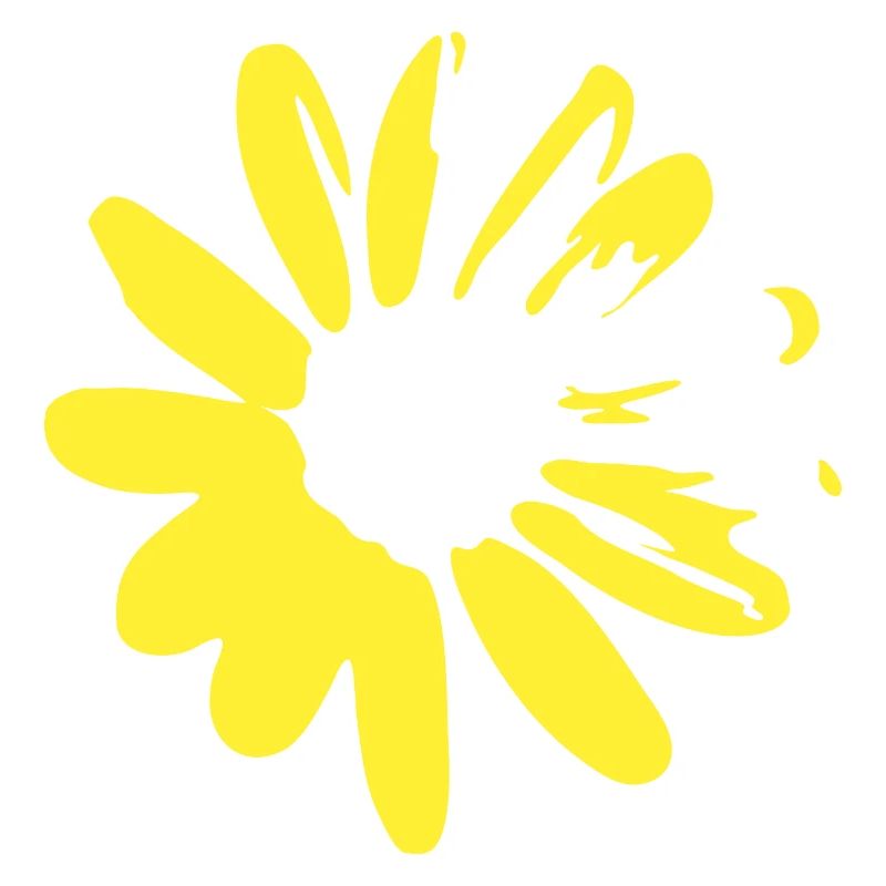 Daisies Summer Spring
