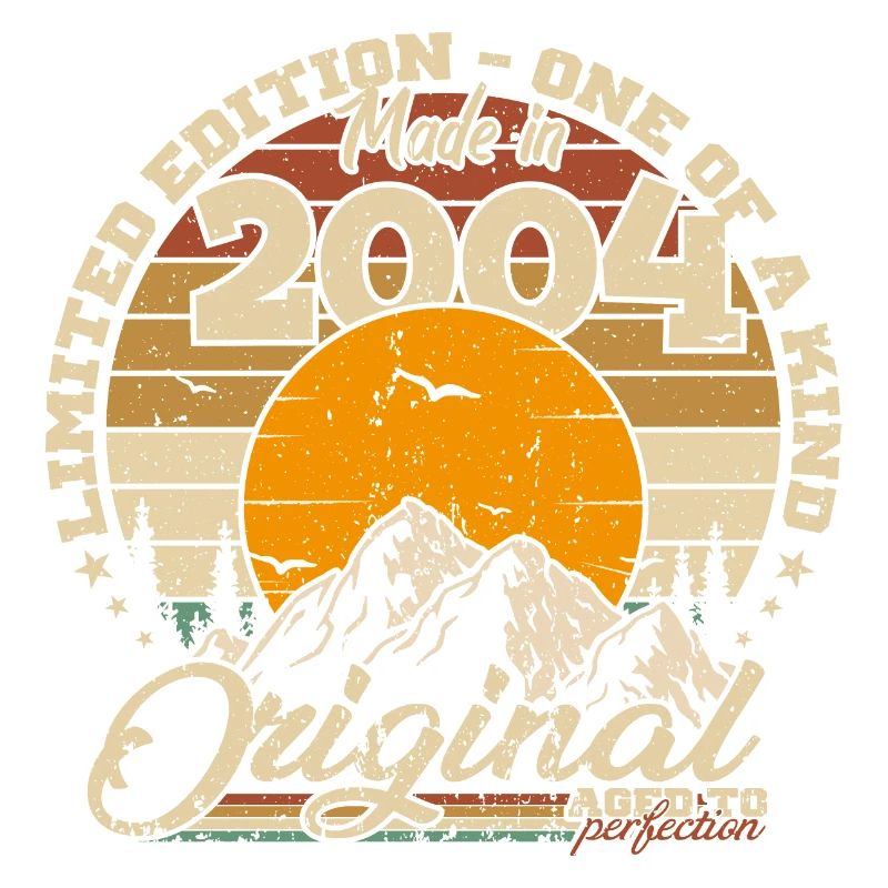 Made in 2004 Birthday Gift 2004 Retro 2004