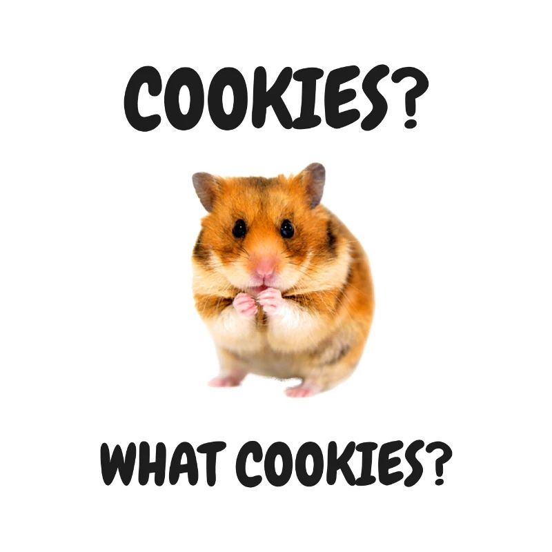 Hamster Meme Cookies Biscuits Snacking Hamster doré