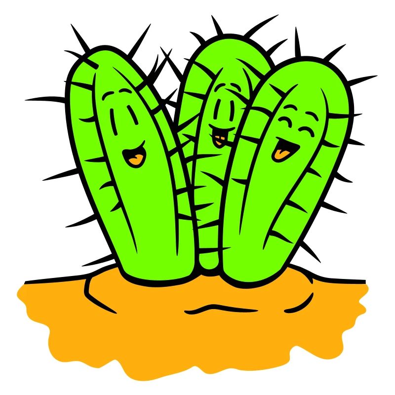 3 Cactus Friends Cactus Faces Prickly Desert