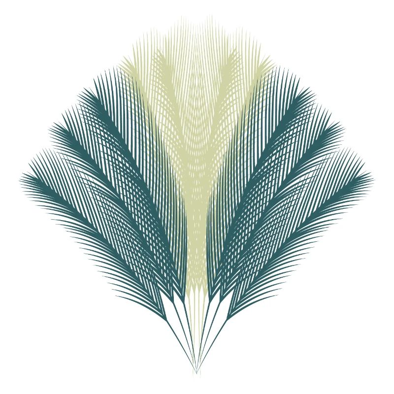 Feather Fan
