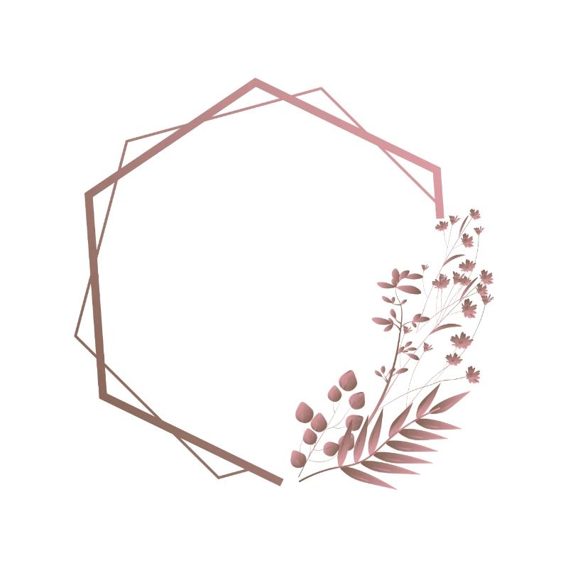 Hexagone rose dans un cadre double avec plante et fleur