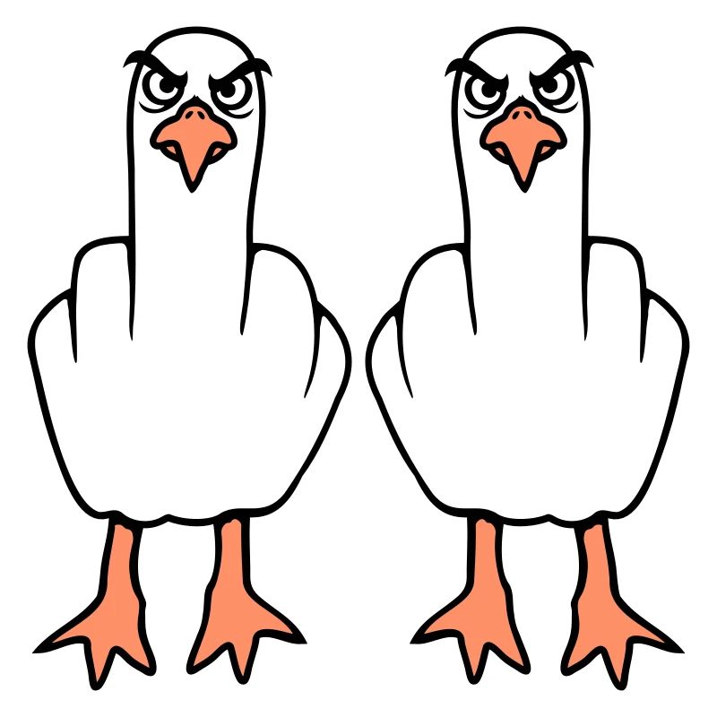 2 Seagulls Middle Finger Insult Stinkfinger Team
