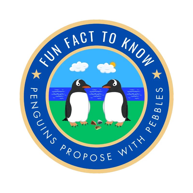 Penguins propose with pebbles