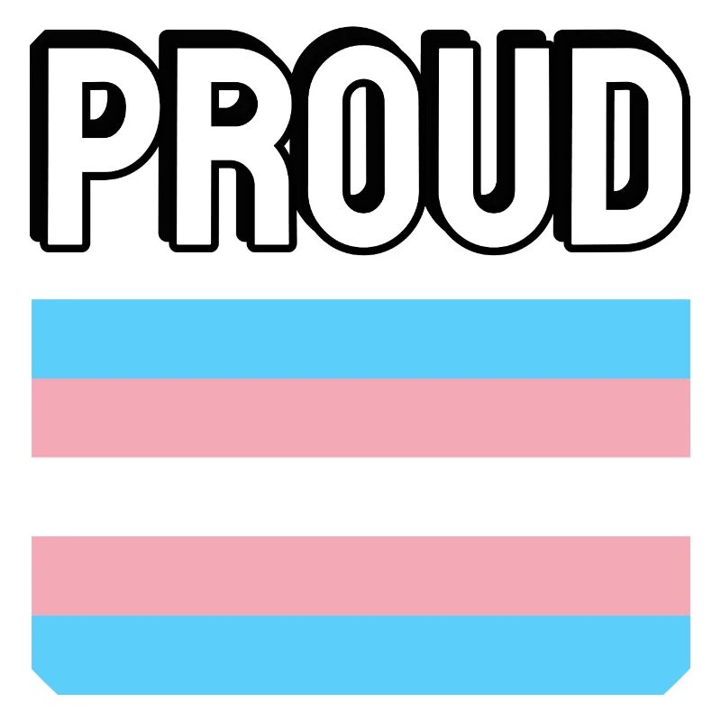 Trans Pride transfierté Drapeau Fier