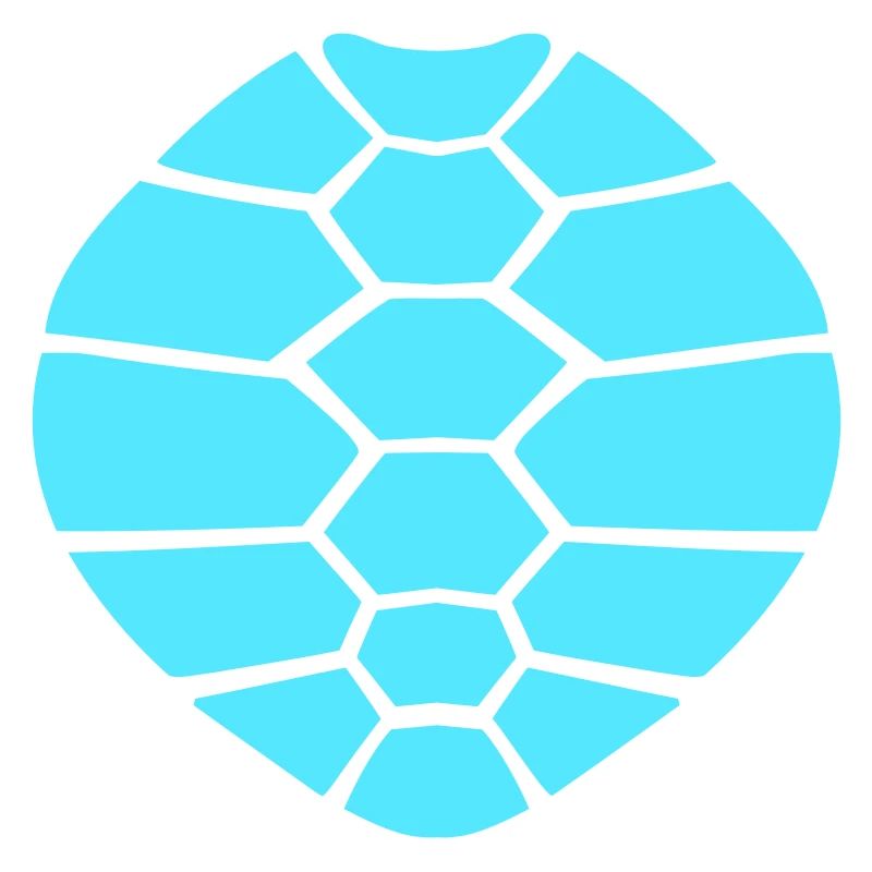 Turtle shell pattern turtle icon cool