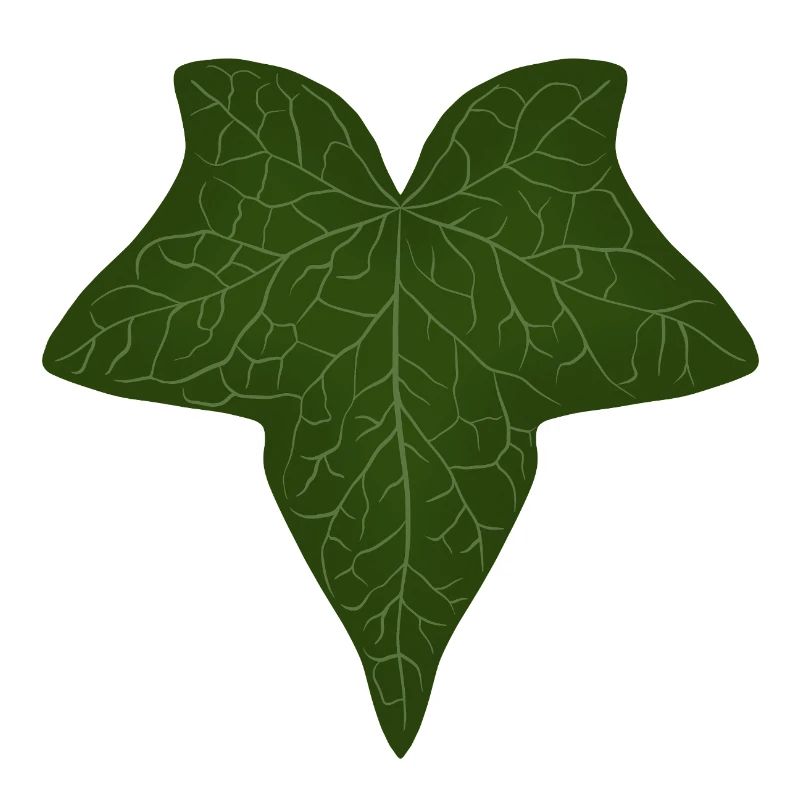 Elegant Green Ivy Leaf Pattern