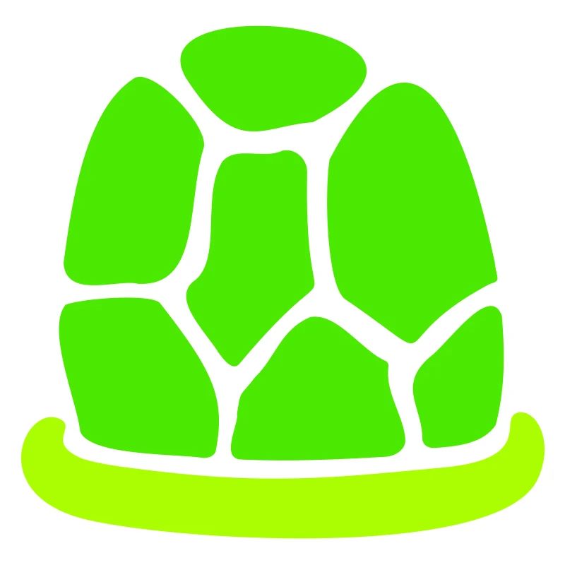Turtle shell without turtle cute shell fun