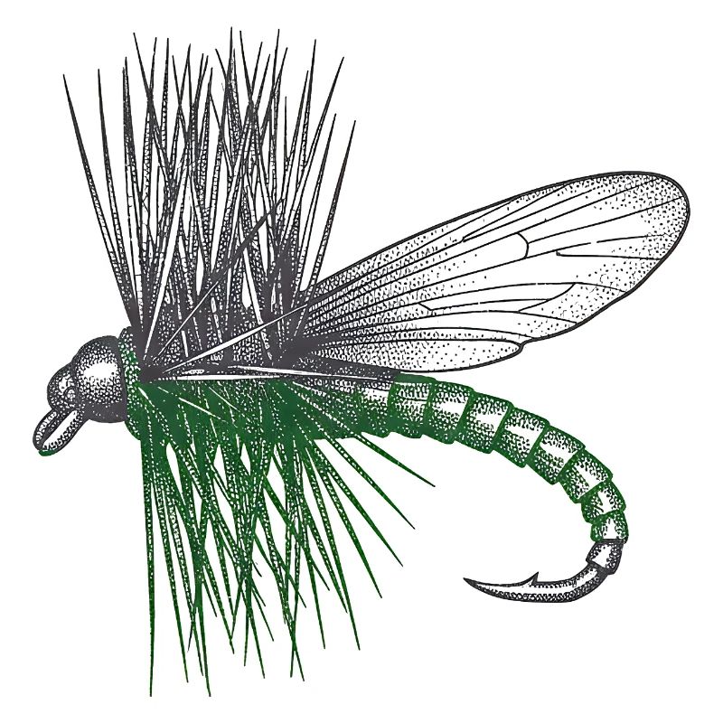 Der Master's Fly