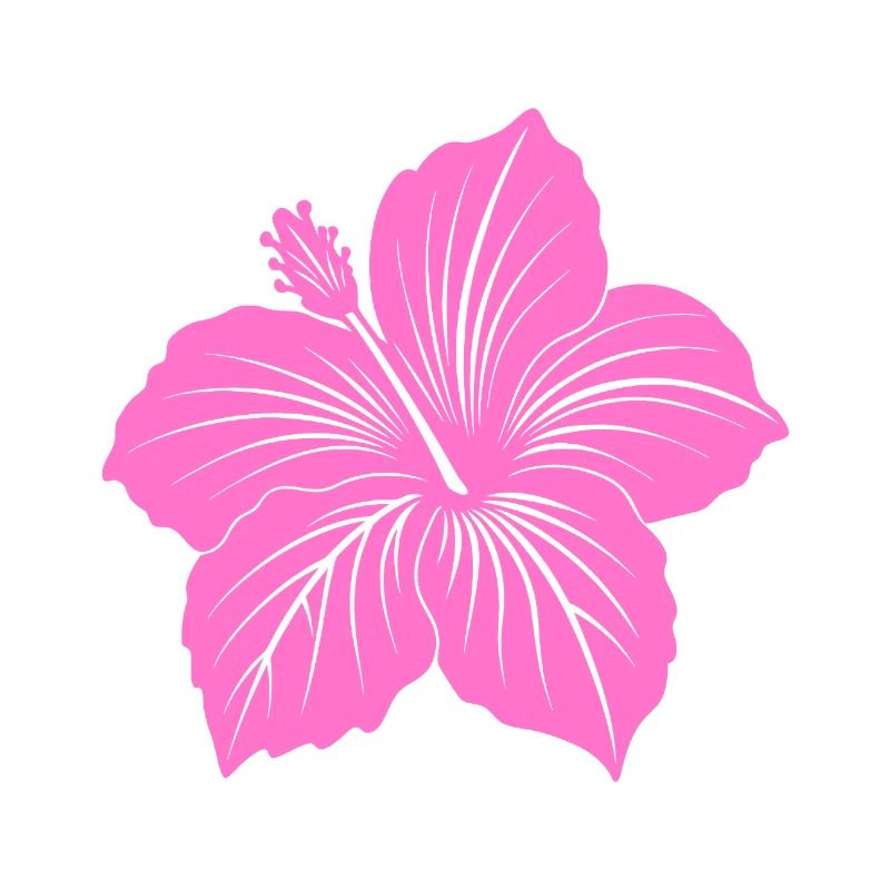 Fleur d’hibiscus