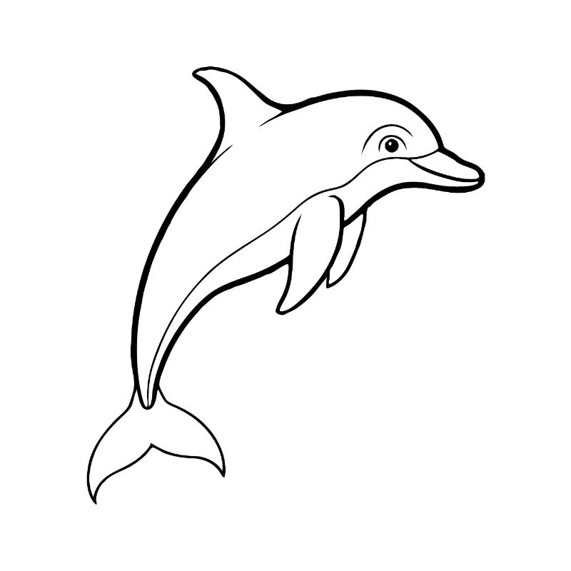 Dolphin