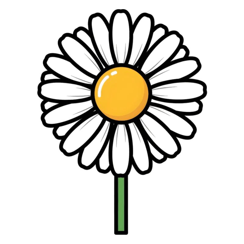 daisy