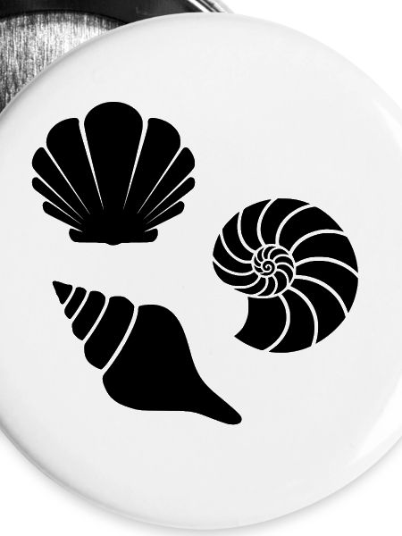 Muscheln