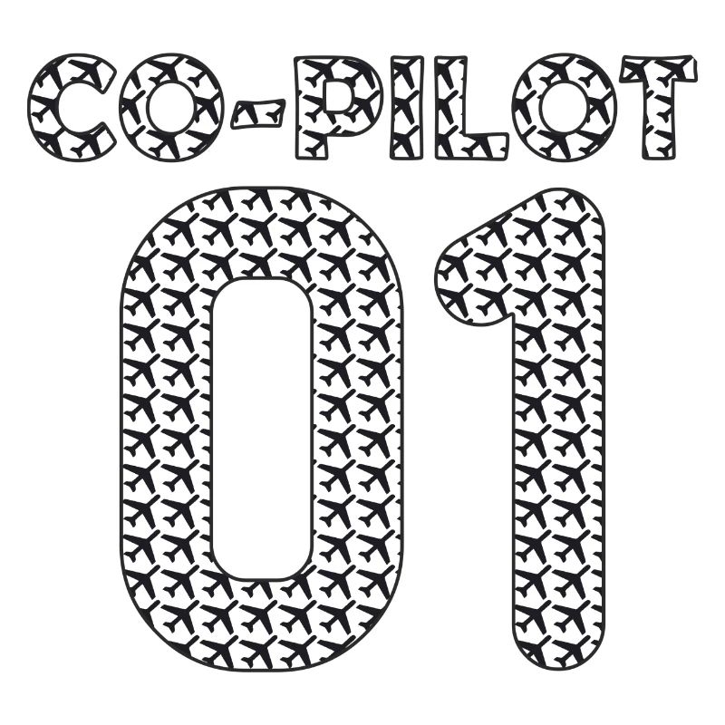 Co Pilot