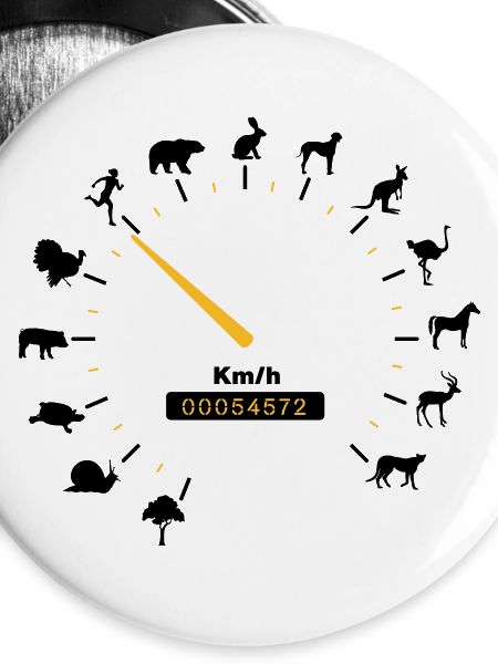 tachometer