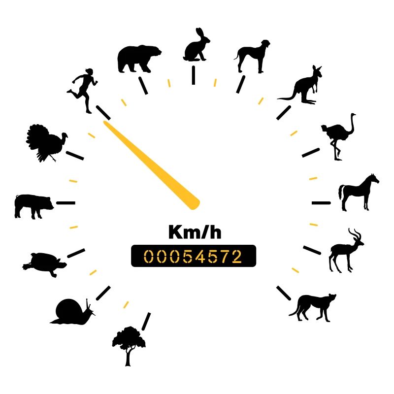tachometer