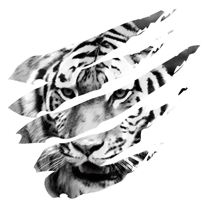 Tiger scratch