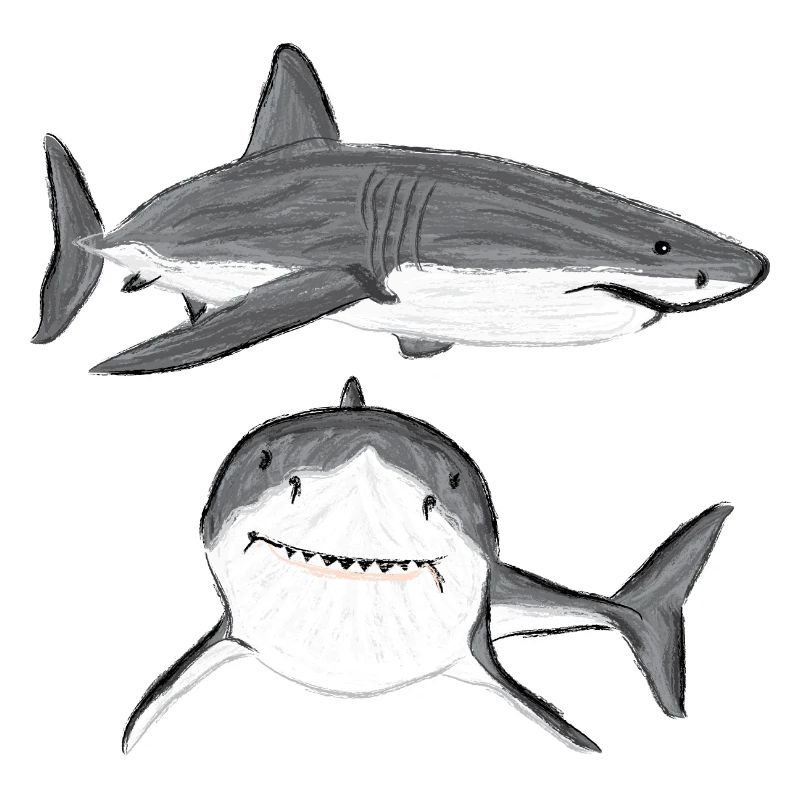 Great White Shark V design