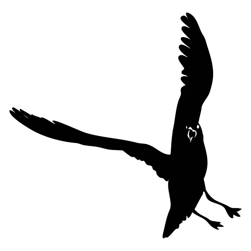Seagull Silhouette