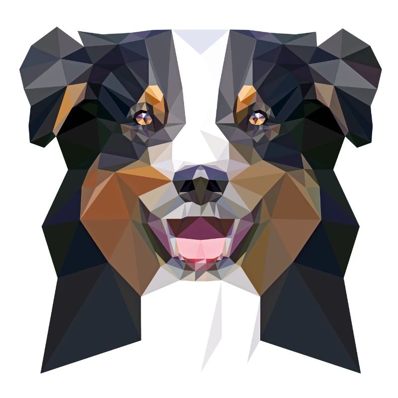Aussie low poly black