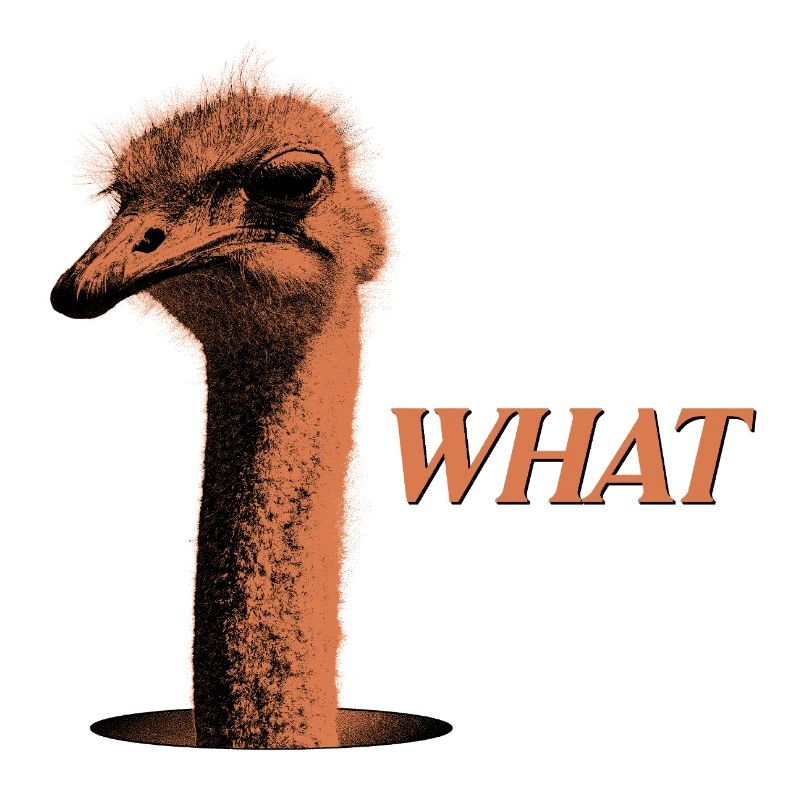 What?! – Grumbling Bouquet