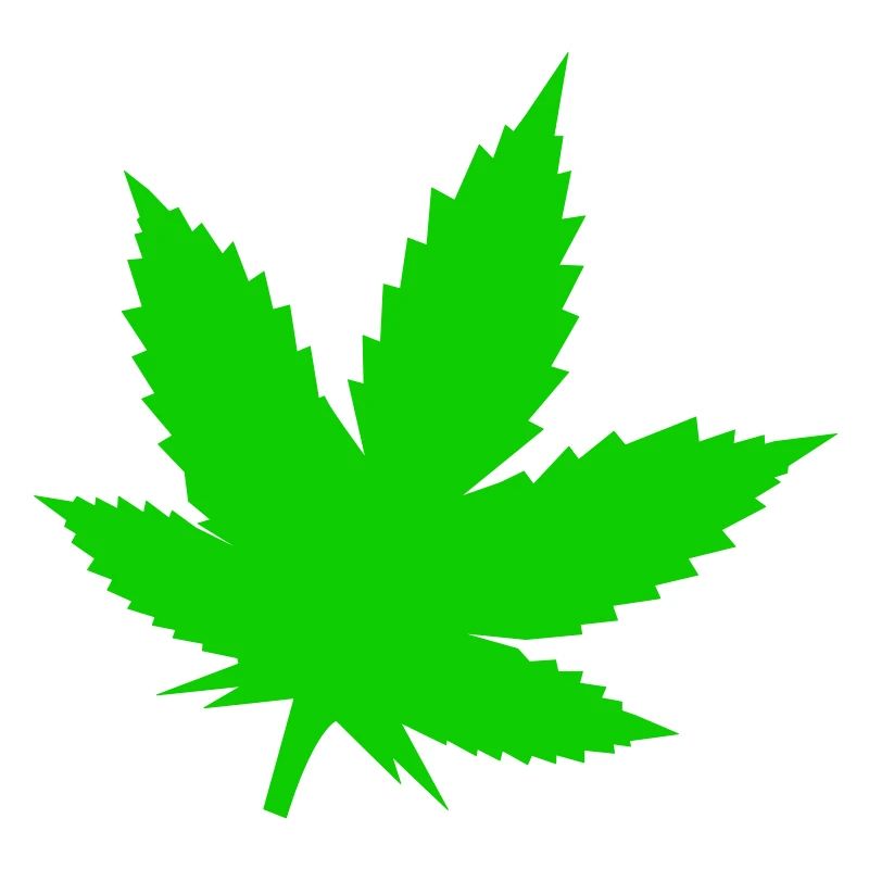 Silhouette de feuille verte