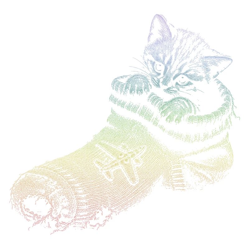 kitten