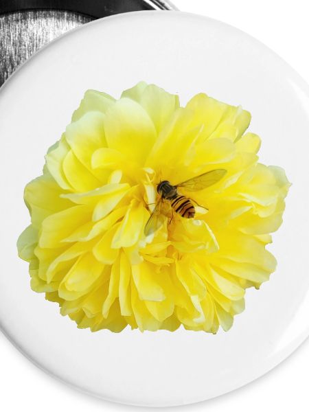 Yellow_Rose_-_Bee_Nature_Photography