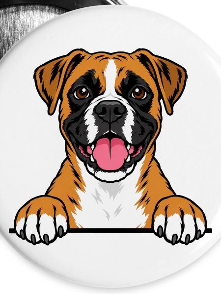 Boxer