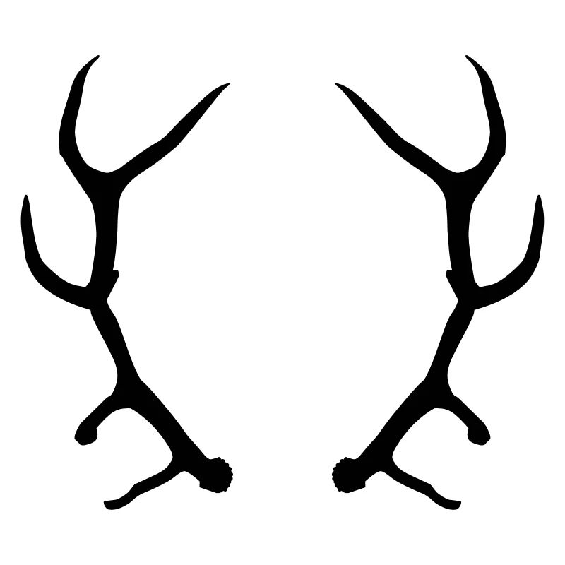 Geweih