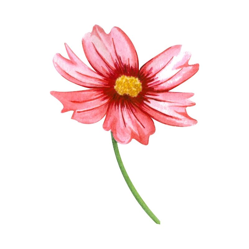 fleur