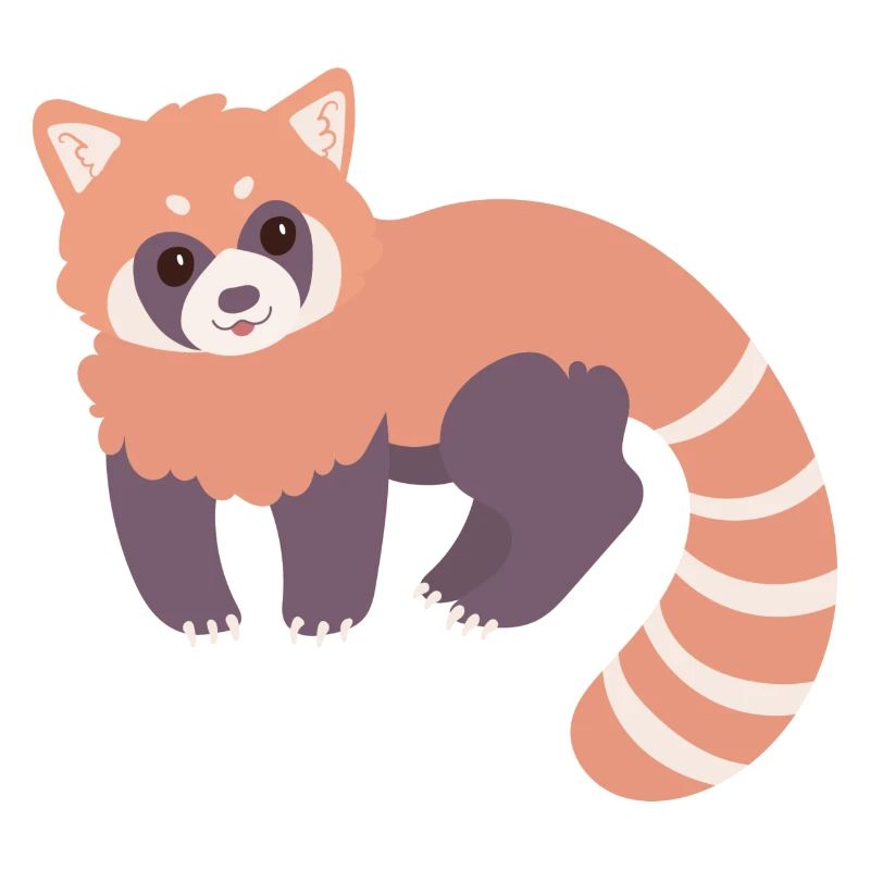 Red panda
