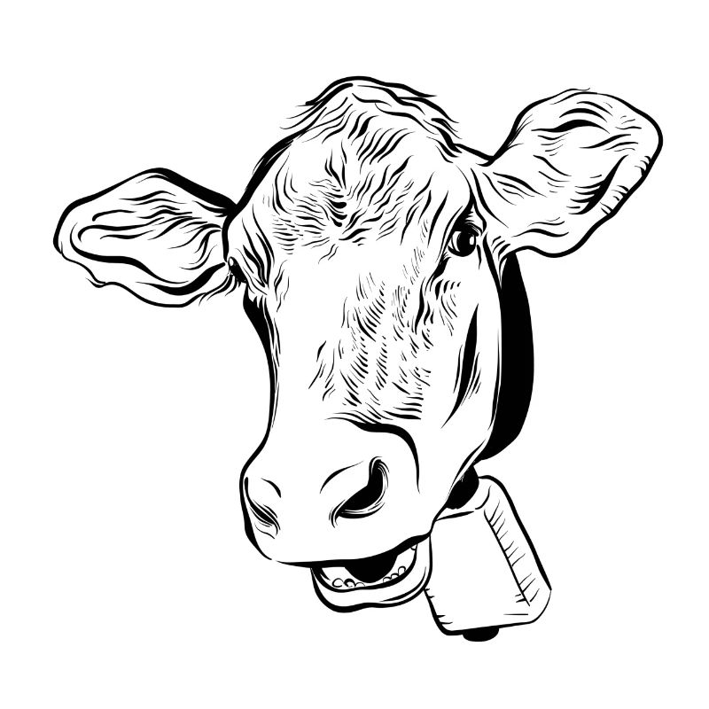 Cow cows