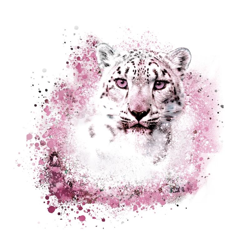 snow leopard,cat,leopard,white,wildcat