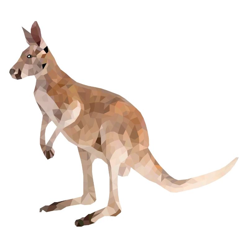 Kangaroo