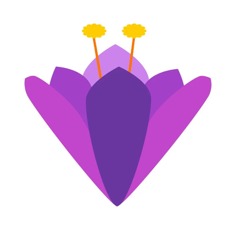Crocus