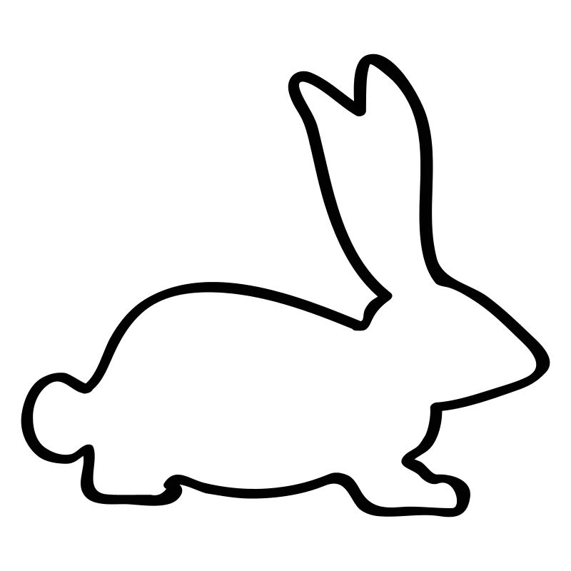 rabbit