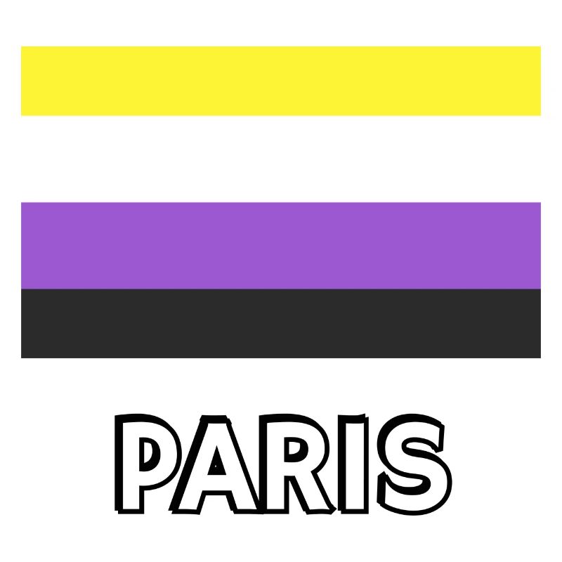 Non binary Pride Flag Paris