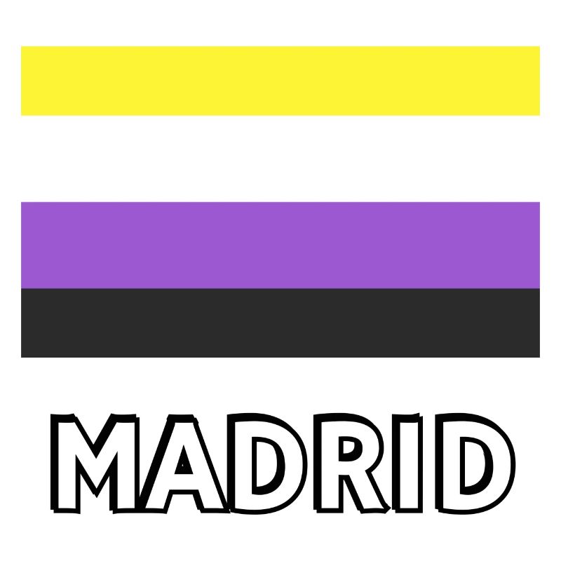 Non binary Pride Flag Madrid
