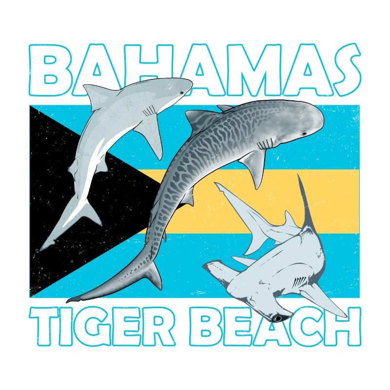 Tiger Beach Bahamas