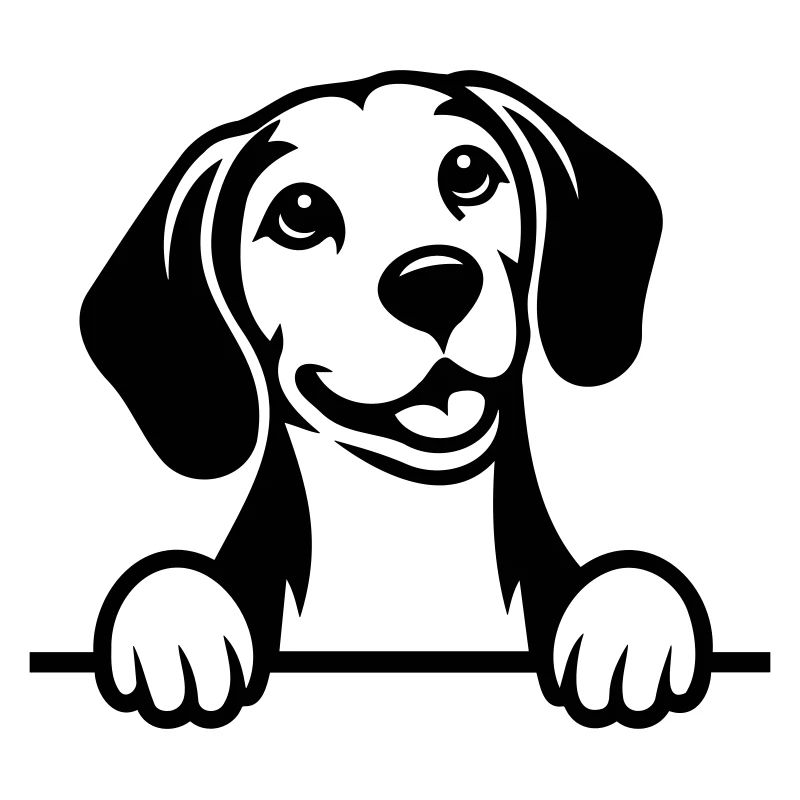 Beagle