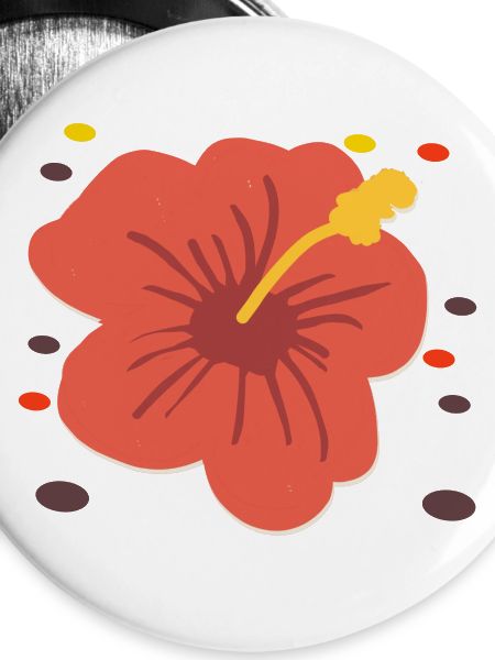 Hibiskus 
