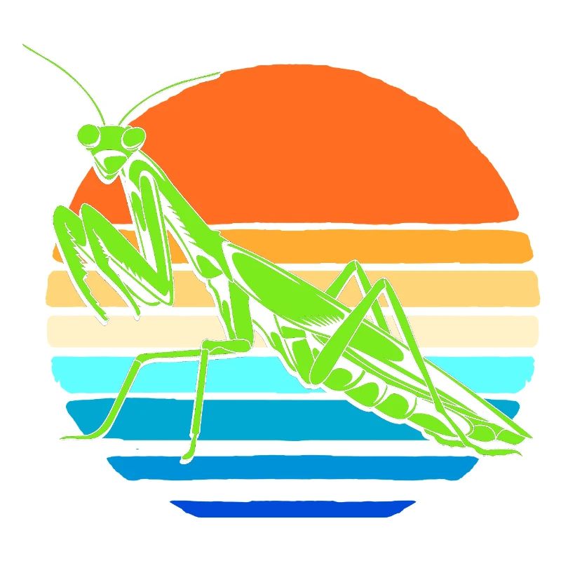 Gottesanbeter Gottesanbeterin Mantis