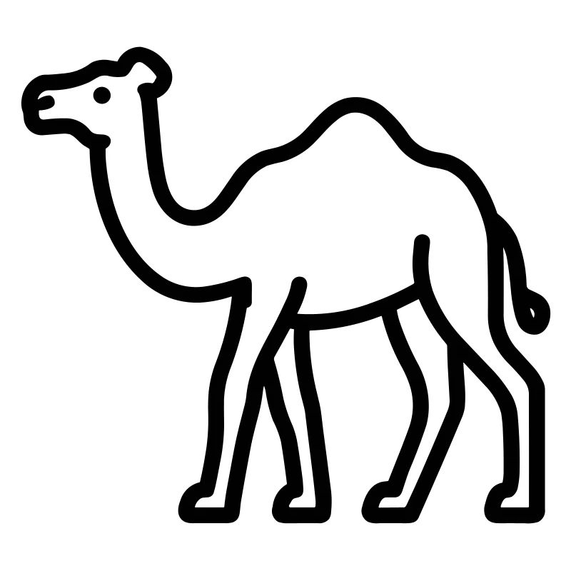 camel