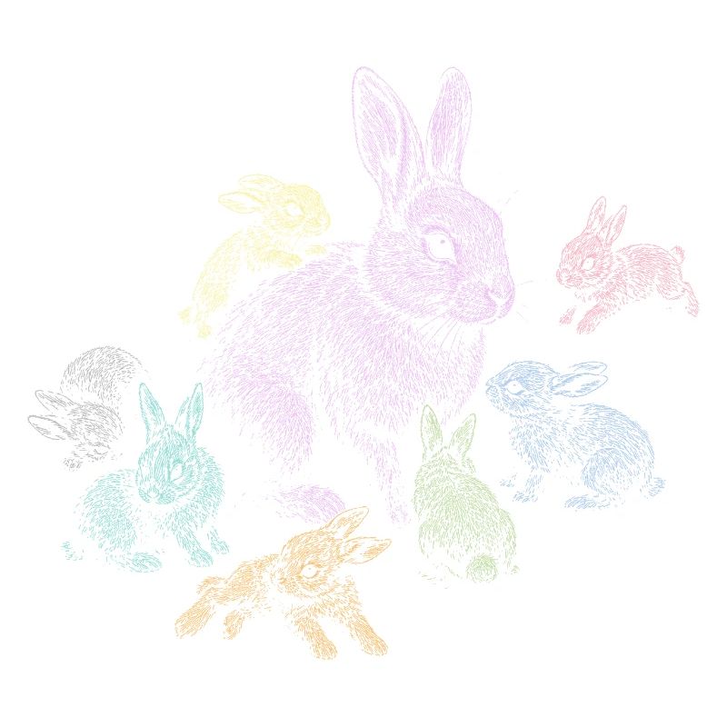 Rabbit
