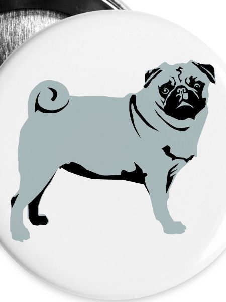 Pug