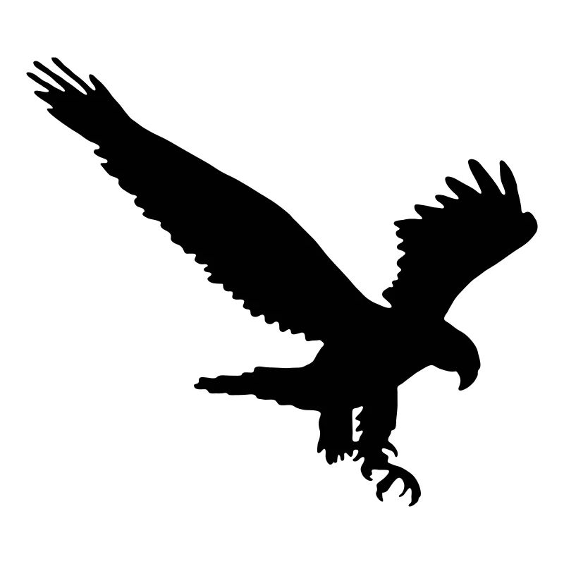 aquila