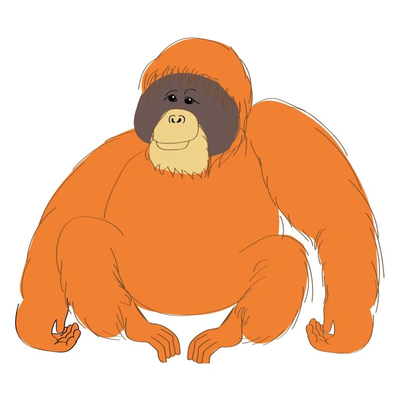Orangutan orangutan rainforest monkey gift